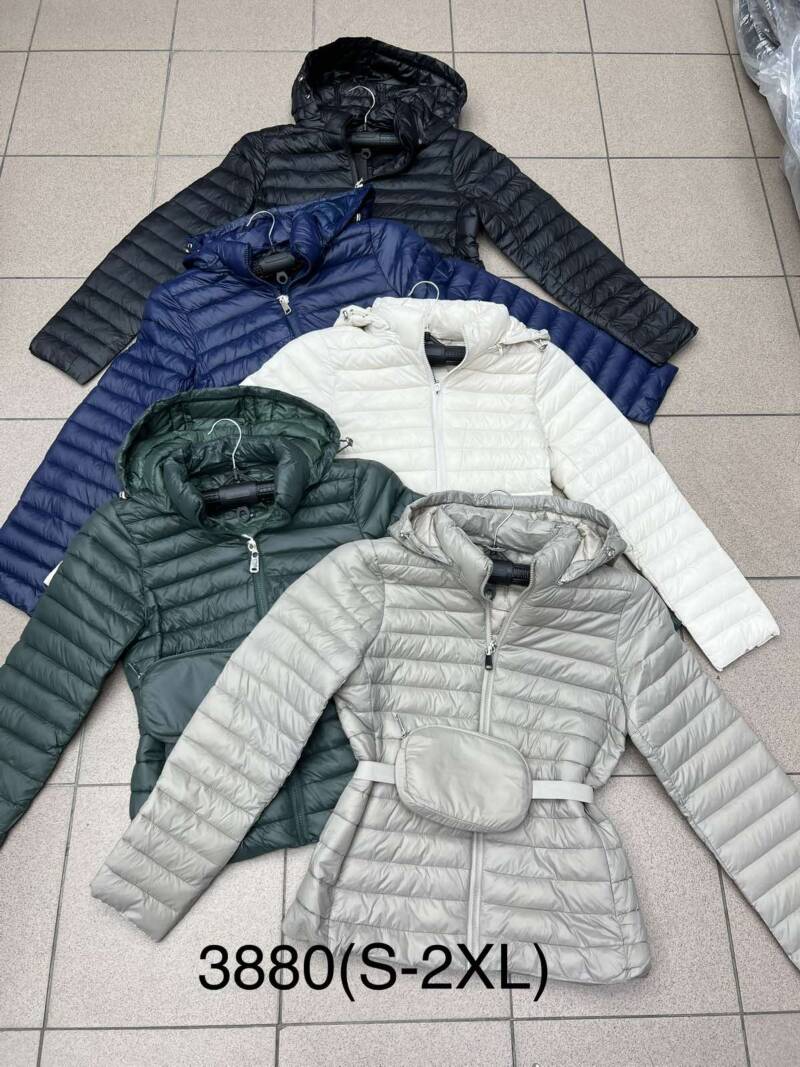 Kurtki damskie cienki Roz S-2XL ,1 Kolor Paczka 5 szt 1